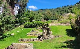 Naturaleza Y Vida